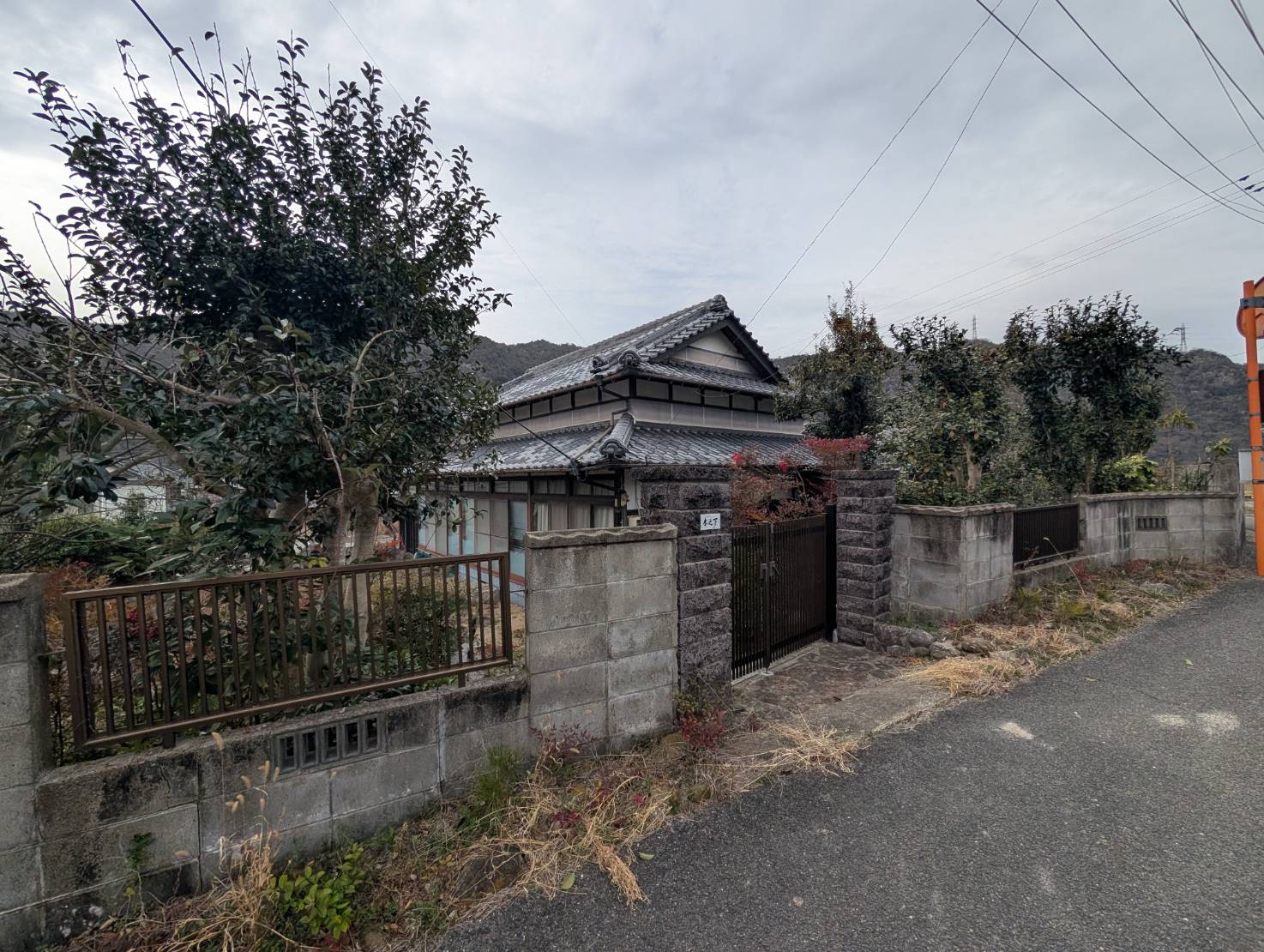 shimizu475