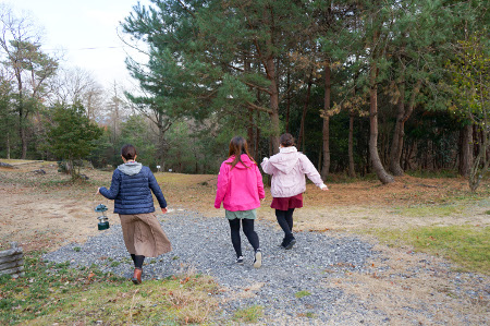 3人の女性が森を歩いている後姿の写真