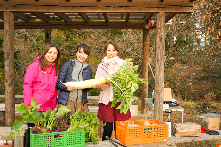 女性3人が並び、2人で葉付きの大きな大根を持っている写真
