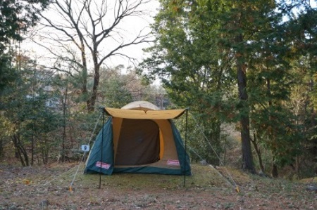 木々が生い茂るキャンプ場の中の平らな地面に貼った緑色と黄色のテントの入口が開いている写真（ 美しい森利用案内のページへリンク）
