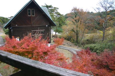 三角屋根のコテージや紅葉した木々など眺めの良い景色をコテージのベランダから見た敷地内の写真