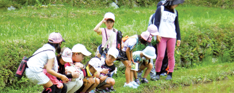 帽子を被った9名の子供たちが横一列に並んで田んぼの畔に立ち、田んぼの中を覗き込んでいる体験学習の様子の写真